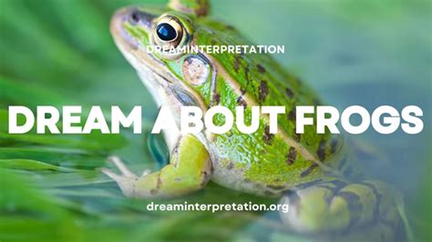 Analyzing Personal Context: Interpreting Your Frog-Related Dream