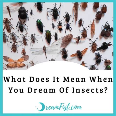 Analyzing Potential Meanings of an Insect's Presence in Your Dream