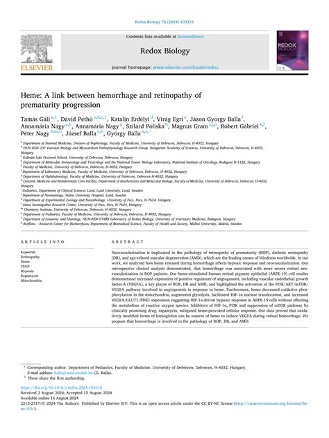 Analyzing the Connection Between Hemorrhage and the Canine's Ailment in Dreams