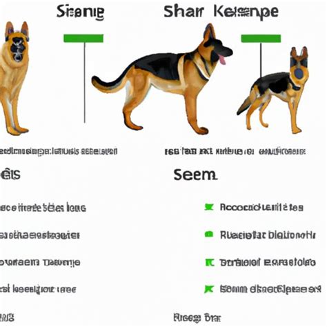 Analyzing the Factors that Impact the Price Range of German Shepherd Puppies