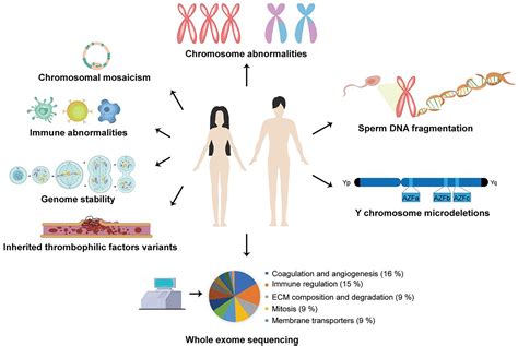 Analyzing the Influence of Biological Factors on Pregnancy Dreams