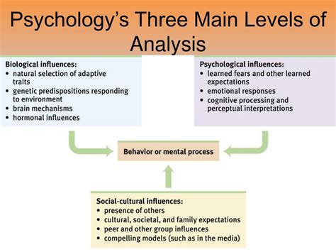 Analyzing the Psychological Interpretations