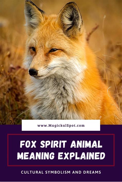 Analyzing the Symbolic Meaning of Foxes in Your Dreams