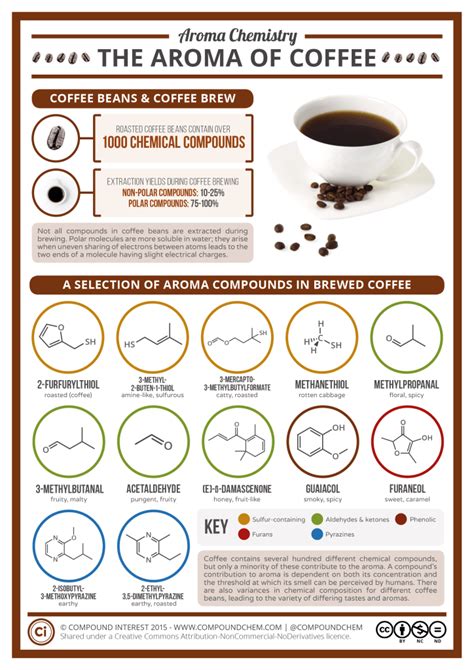 Aroma Magic: The Tale Behind Coffee Residues