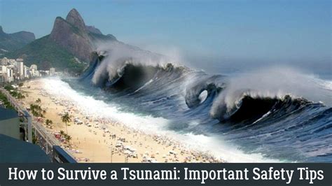 Astonishing Survival: Riding the Tsunami Wave