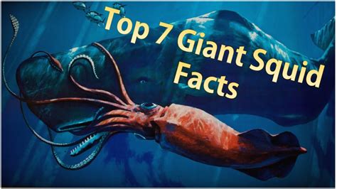 Awe-inspiring Facts About the Gigantic Medusidae Species