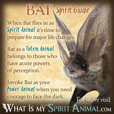 Bat Wisdom: Legends and Interpretations Regarding the Encounter