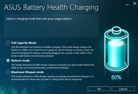 Battery Check: Health and Charging Capability