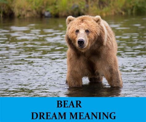 Bear Dreams: A Message of Protection and Boundaries