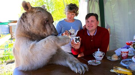 Bears as Unconventional House Pets