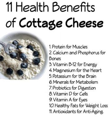 Benefits of Cottage Cheese for Your Health: From Shedding Pounds to Strengthening Your Bones