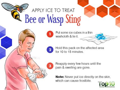 Best Practices for Treating a Wasp Sting