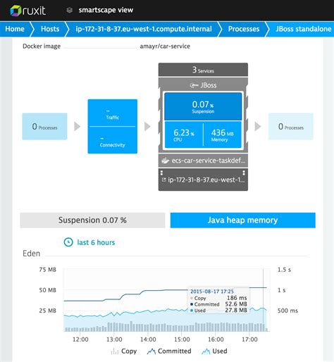 Best Practices for Utilizing Performance Metrics in Docker Environments