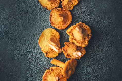 Beyond the Ordinary: Creative Ways to Utilize the Golden Delights of Chanterelles