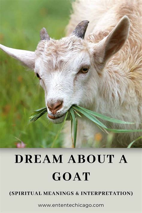 Beyond the Surface: Unraveling Hidden Meanings of Goat Horns+