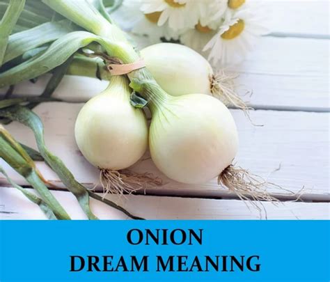 Bitterness and Resentment: Decoding the Symbolic Meaning of the Taste of an Onion in Female Dreams