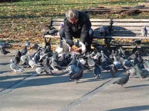 Bizarre Feeding Behavior: Unveiling a Rare Phenomenon