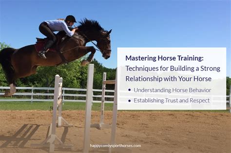 Building a Strong Bond and Connection with Your Equine Companions