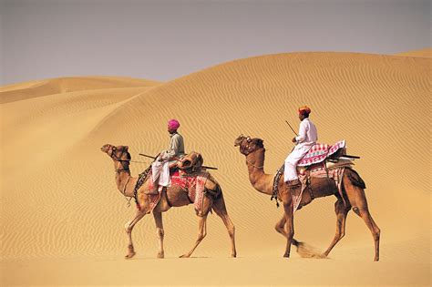 Camels as a Symbol of Travel and Exploration