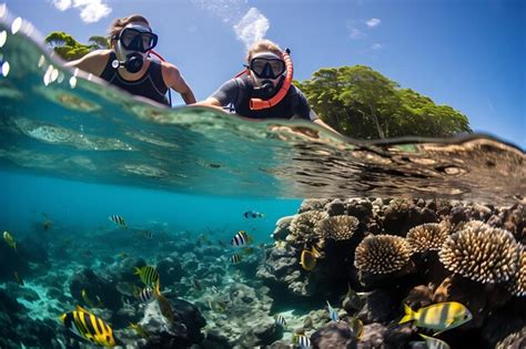 Captivating Wildlife Encounters: Observing Marine Life in its Natural Habitat