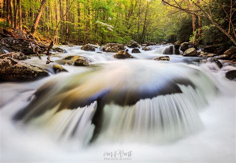 Capturing Tranquility: Tips for Photographing Serene Flowing Streams