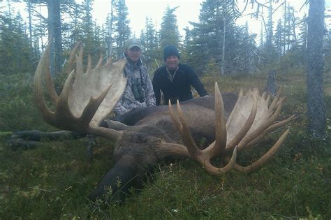 Capturing the Moment: Tips for Photographing Your Winter Moose Hunting Adventure