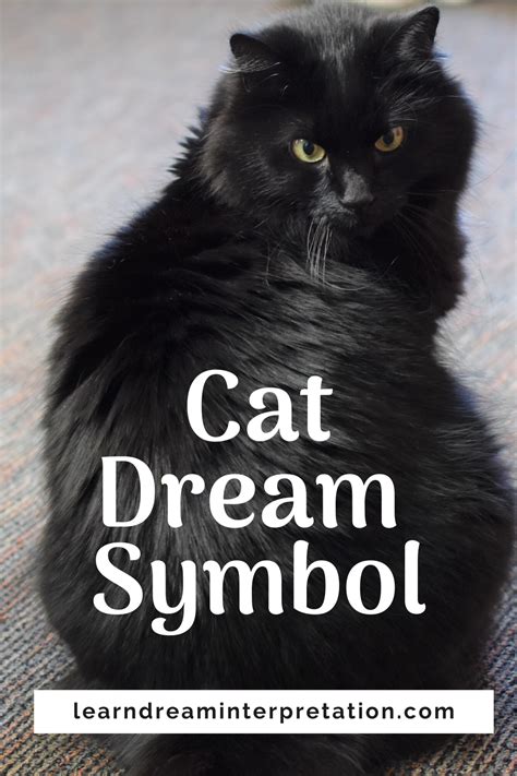 Cats as Symbols in Dreams