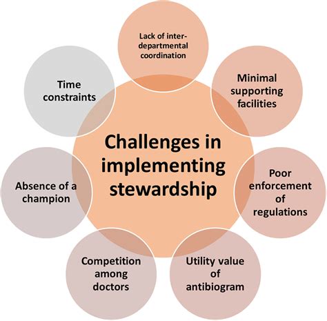 Challenges and Limitations for Implementation