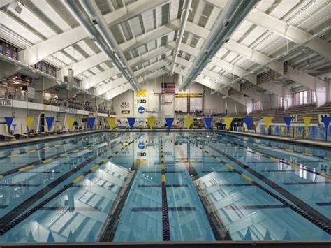 Chasing Dreams: The Journey to Becoming a Competitive Swimmer