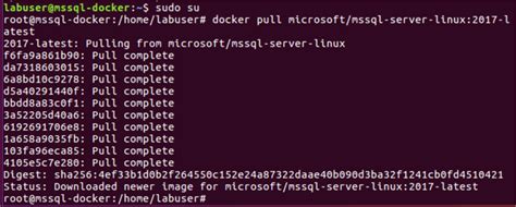 Checking Networking Configuration for Docker SQL Server 2017 on Linux