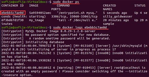 Checking Status and Logs of Docker Service