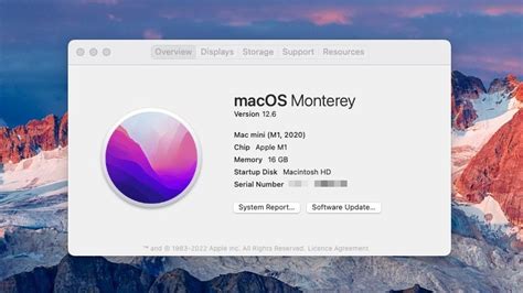 Checking macOS Compatibility