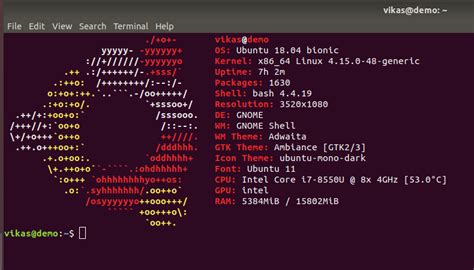 Checking the Version via Terminal