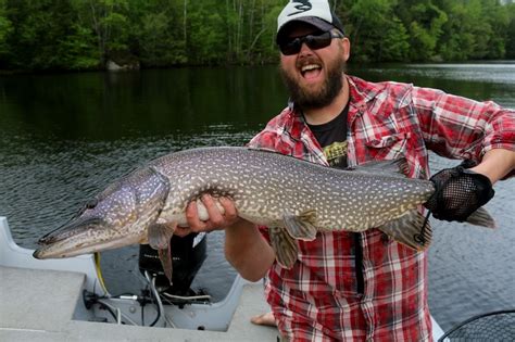 Choosing the Appropriate Gear for Catching Northern Pike