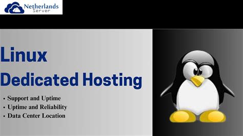 Choosing the Ideal Linux Distribution for Your Hotel: A Practical Approach
