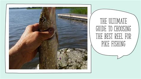 Choosing the Ideal Location for Pike Fishing