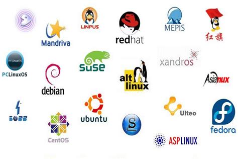Choosing the Perfect Linux Distribution for Efficient Network Data Management