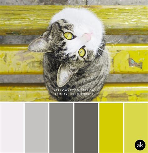 Choosing the Perfect Palette for a Feline-Inspired Design