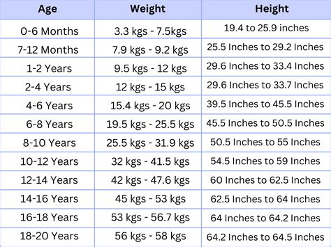 Choosing the Right Size and Weight for Your Preferences