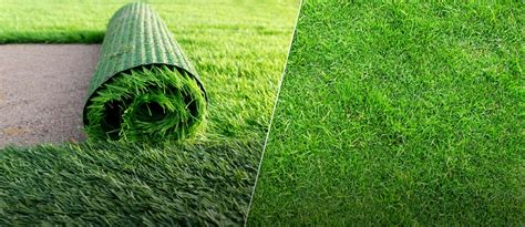 Choosing the Right Turf: Artificial vs Natural Grass