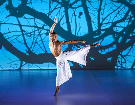 Choreographing Nature: Dance Inspired by Winter Landscapes