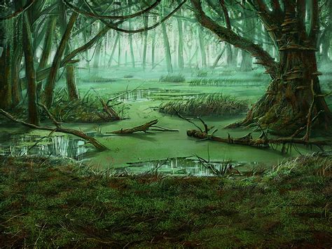 Clear-Water Swamps in Literature and Art