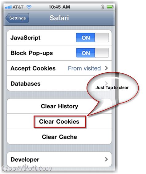 Clearing Browsing History and Cookies on Your iPad