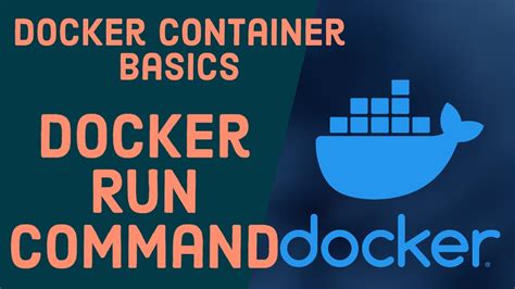 Commands to Create and Start a Container for Running a Web Application on a Local Machine