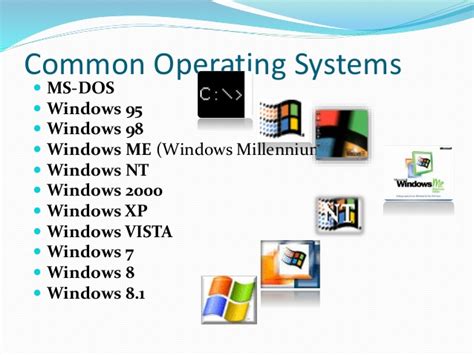 Common Applications in the Windows Operating System