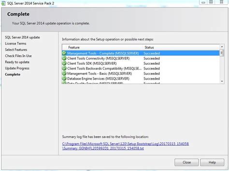 Common Challenges Encountered while Running SQL Server 2014 SP2 with Windows Docker Runtime