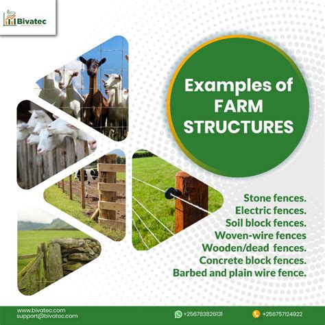 Common Variations of Theft Incidents in Agricultural Structures and Their Symbolic Interpretations