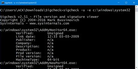 Common challenges encountered when using Sigcheck in Windows containers