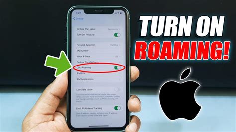 Common obstacles that hinder the functionality of cellular roaming on Apple's popular device