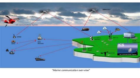 Communication and Playfulness: Unlocking the Language of Marine Enigmas